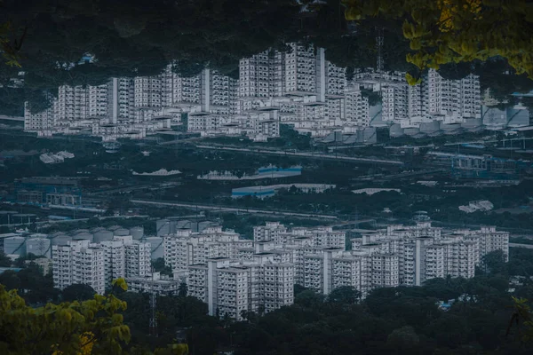 Closeup Shot Mirrored Buildings Surrounded Greenery — 스톡 사진