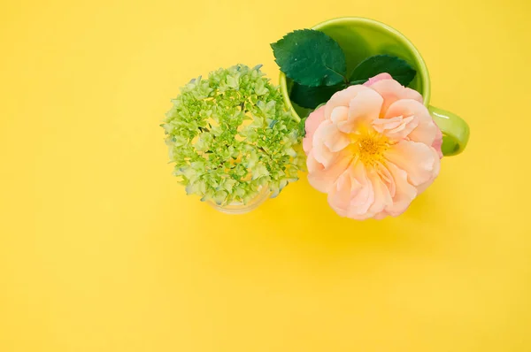 Top View Garden Rose Cup French Hydrangea Buds Vase Yellow — 스톡 사진