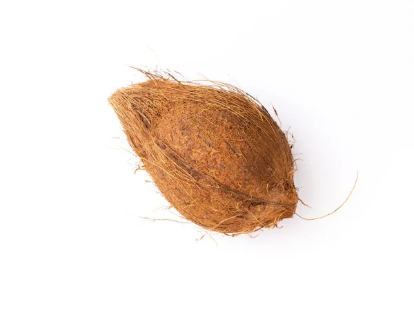 Closeup Whole Coconut Isolated White Background — 图库照片