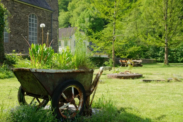 Closeup Old Weathered Rusty Metal Cart Growing Green Plants Garden — Stock Photo, Image