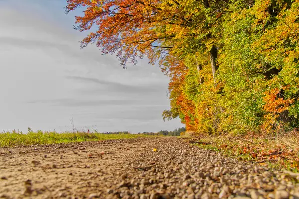 Zbliżenie Ujęcia Rolniczego Krajobrazu Barwnymi Drzewami Jesienią — Zdjęcie stockowe