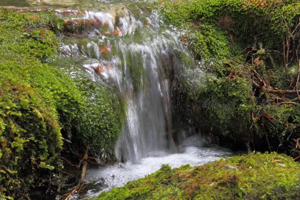 Ett Naturskönt Vattenfall Som Flyter Den Gröna Träiga Terrängen — Stockfoto
