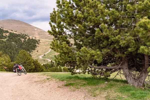 Vue Une Piste Cyclable Andorre — Photo