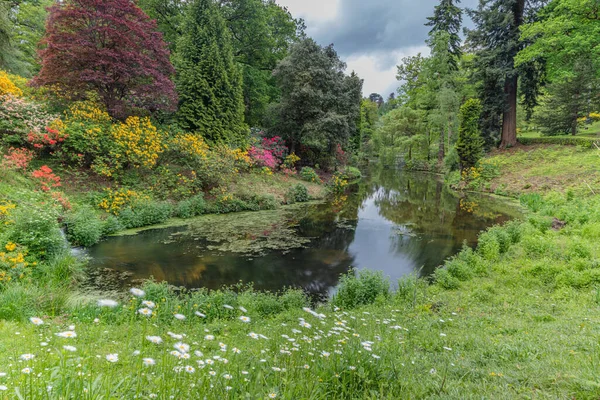 Uma Vista Hipnotizante Lago Calmo Rodeado Por Diferentes Árvores Flores — Fotografia de Stock