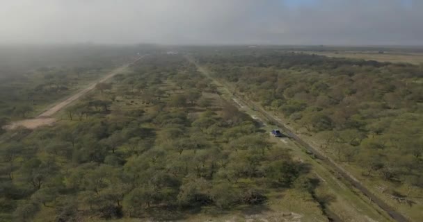 Güneşli Bir Günde Ormanda Araba Sürerken Hava Manzarası — Stok video