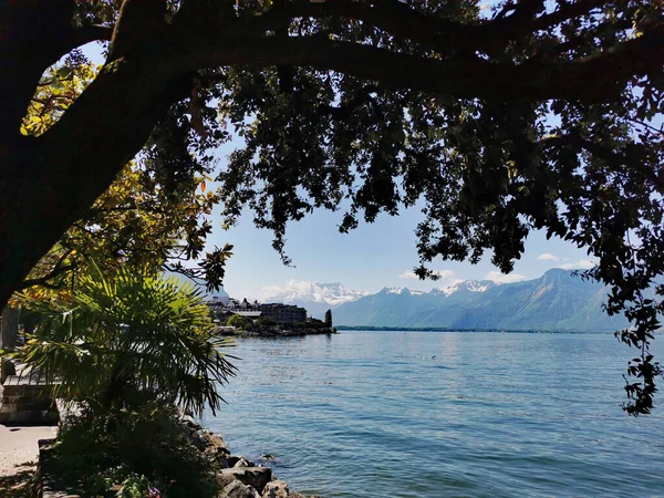 Cenevre Gölü Arka Planda Sviçre Avrupa Daki Montblanc Dağı — Stok fotoğraf