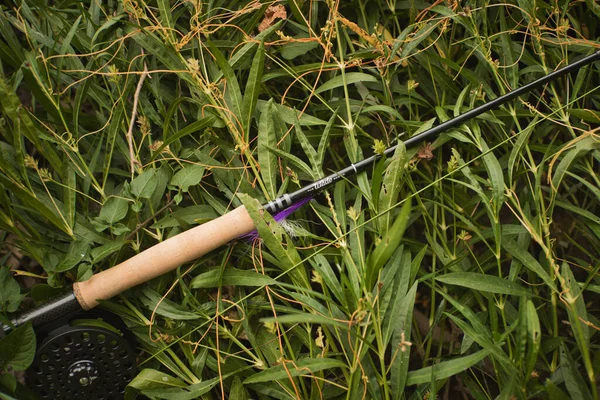 Colpo Angolo Alto Una Canna Pesca Sul Prato Coperto Erba — Foto Stock