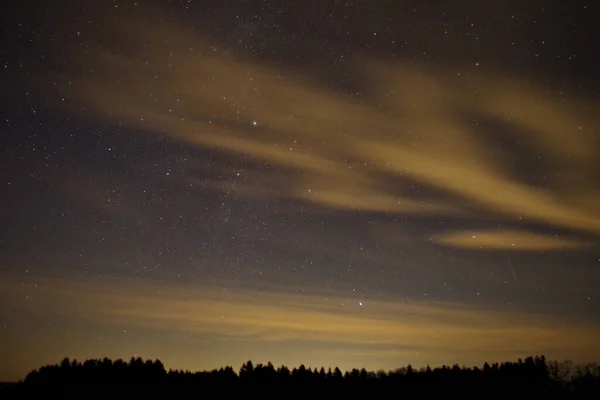 Een Close Opname Van Het Silhouet Van Bomen Een Sterrenhemel — Stockfoto