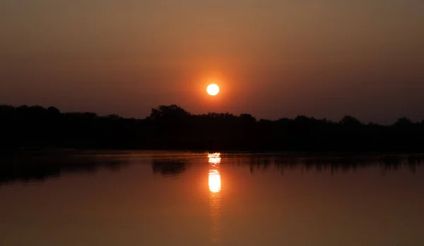 夕暮れ時の空には木々や丸い太陽のシルエットの湖のクローズアップ — ストック写真