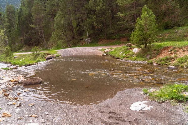 Une Tasse Dans Une Piste Cyclable Andorre — Photo