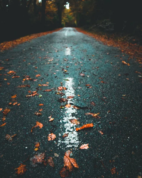 道路に落ちた秋の葉の垂直ショット — ストック写真