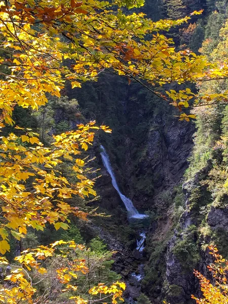 Wodospad Las Roethelmoos Alpach Chiemgau Roethelmoosklamm Bawaria Niemcy — Zdjęcie stockowe