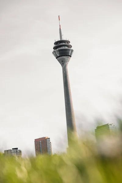 Almanya Düsseldorf Taki Rhine Kulesinin Dikey Görüntüsü — Stok fotoğraf