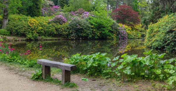 Uma Bela Vista Banco Madeira Parque Com Flores Coloridas — Fotografia de Stock