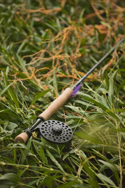 Een Verticaal Schot Van Een Hengel Het Gras Bedekte Weide — Stockfoto