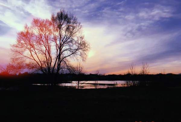 Uma Vista Hipnotizante Lago Uma Árvore Sob Belo Céu Colorido — Fotografia de Stock