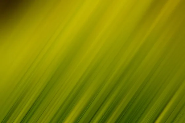 Een Abstracte Achtergrond Met Diagonale Lijnen Gele Groene Kleuren — Stockfoto
