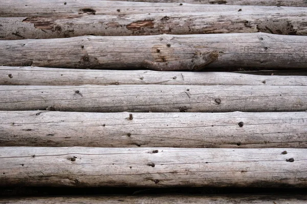 一堆木头原木 — 图库照片