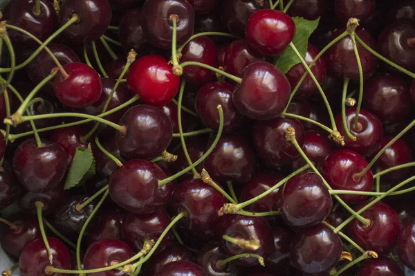 Fondo Cubierto Con Las Cerezas Negras — Foto de Stock