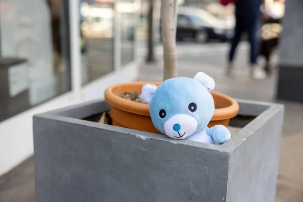 Niebieski Niedźwiedź Zabawka Kamiennym Garnku — Zdjęcie stockowe