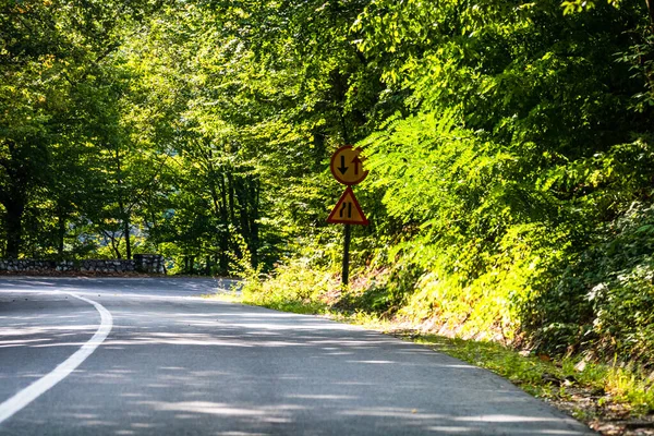 Uma Bela Estrada Através Floresta Verde — Fotografia de Stock