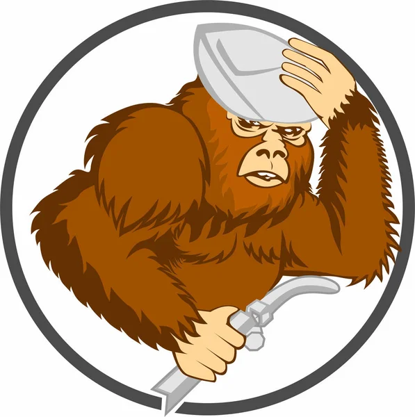 Ilustracja Brązowej Małpy Kapeluszem Białym Tle — Zdjęcie stockowe