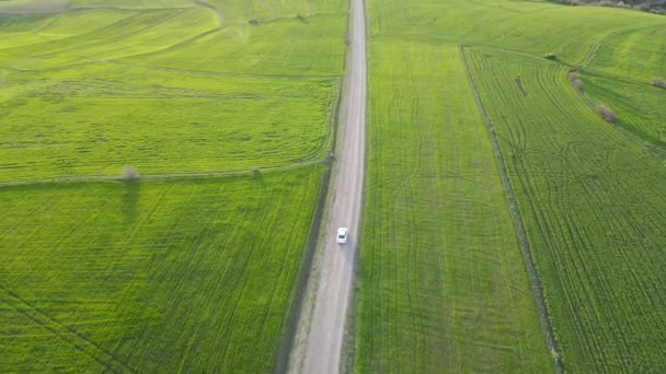 Luchtfoto Van Auto Rijden Weg Tussen Weiden Zonnige Dag — Stockvideo