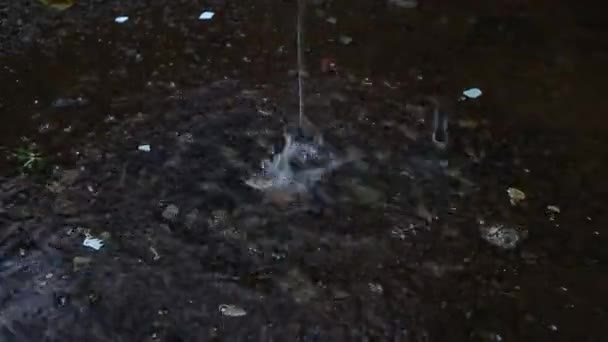 떨어지는 흙탕물에 떨어지는 — 비디오