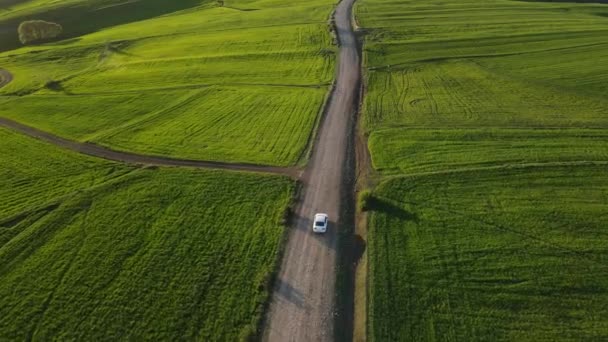 晴れた日に牧草地を走る車の空中風景 — ストック動画