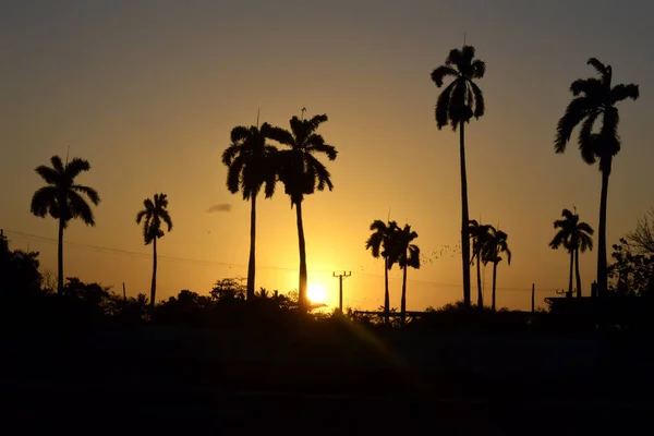 Bel Tramonto Contro Paesaggio Tropicale Con Silhouette Palme — Foto Stock