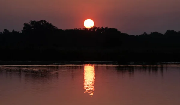 Close Lago Tranquilo Com Árvores Fundo Pôr Sol — Fotografia de Stock