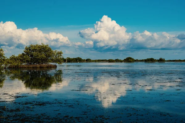 Lugn Vik Som Reflekterar Gröna Träd Och Grumlig Blå Skida — Stockfoto