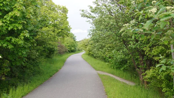 Una Vista Panorámica Una Carretera Asfaltada Rodeada Naturaleza Verde — Foto de Stock