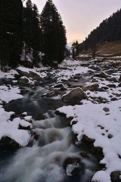 Disparo Vertical Río Nevado Bosque — Foto de Stock