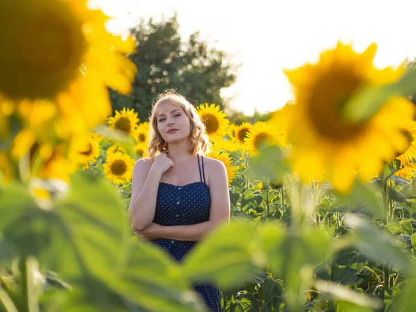 Een Mooie Spaanse Blonde Rustend Het Zonnebloemenveld — Stockfoto