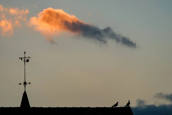 Силует Даху Будівлі Птахів Красивому Фоні Заходу Сонця — стокове фото