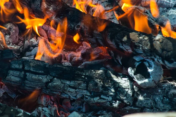 Een Close Van Brandende Tak — Stockfoto