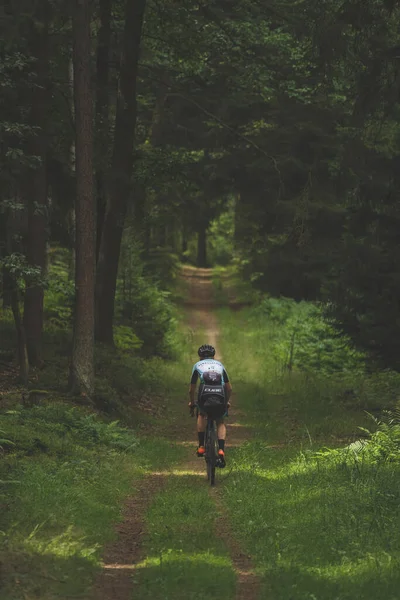 Eine Vertikale Aufnahme Eines Radfahrers Wald — Stockfoto