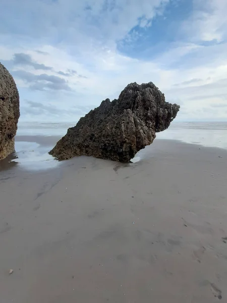 Formação Rochosa Única Uma Praia Areia Erodida Para Pássaro Sentado — Fotografia de Stock