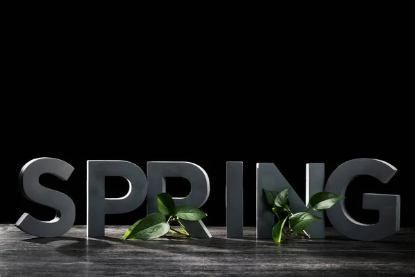 Closeup Metal Letters Spelling Spring Surface Plants Blooming Letters — Stock Photo, Image