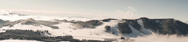 雪に覆われた森林の山々のパノラマショット — ストック写真