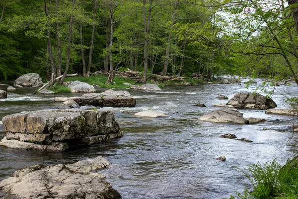 Een Prachtig Uitzicht Een Rivier Gevuld Met Rotsen Een Bos — Stockfoto