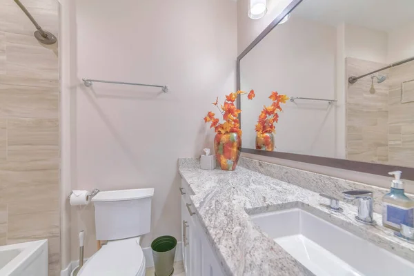 Aynalı Lavabo Tuvalette Klozet Kapağı — Stok fotoğraf