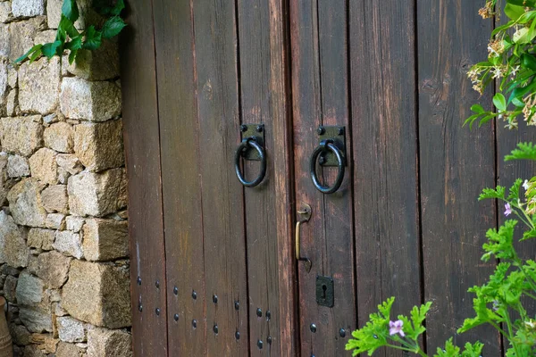 Традиционные Деревянные Двери Каменной Стене Интенсивной Зеленой Растительности Сумерки Фон — стоковое фото