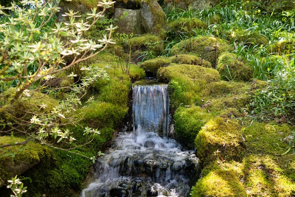 Primo Piano Una Cascata Che Balbetta Tra Rocce Muschiose Una — Foto Stock