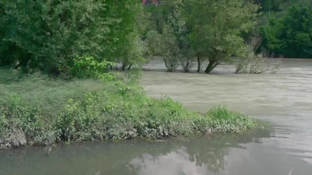 Vista Pitoresca Floresta Sem Fim Nas Margens Rio Dia Ensolarado — Vídeo de Stock