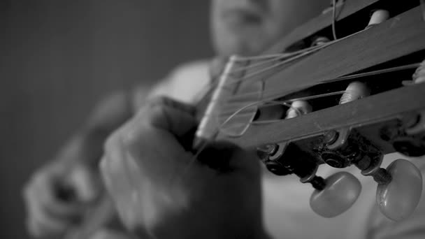 Une Vue Niveaux Gris Musicien Touchant Des Cordes Guitare — Video