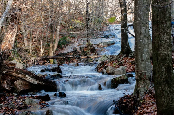 Uma Bela Vista Rio Montseny Barcelona Catalunha — Fotografia de Stock