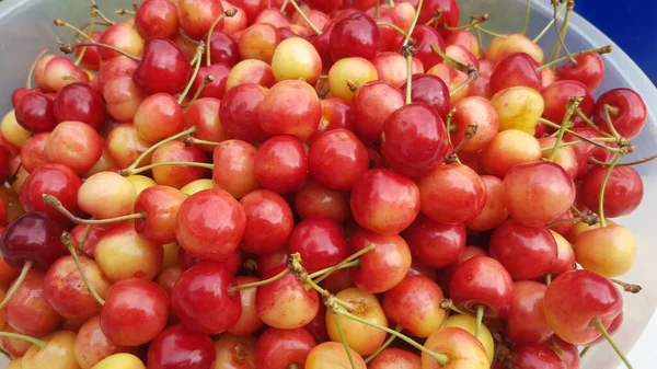 Primer Plano Grupo Jugosas Cerezas Rainier Bowl — Foto de Stock