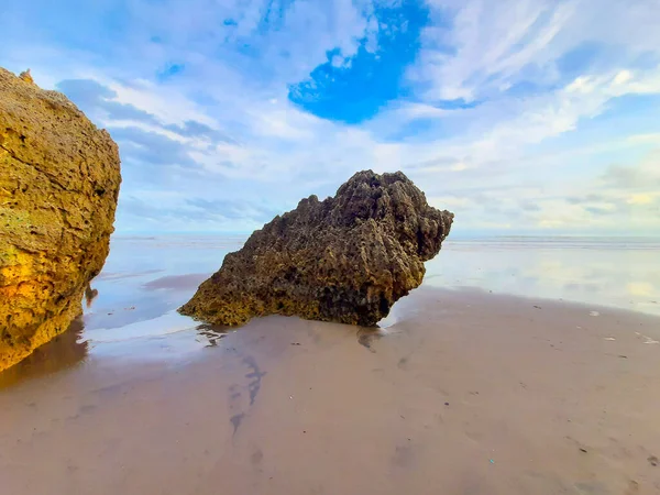 Formação Rochosa Única Uma Praia Areia Erodida Para Pássaro Sentado — Fotografia de Stock